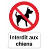 Panneau "Interdit aux chiens" - PVC A4