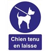 Panneaux "Chien tenu en laisse" - PVC A4