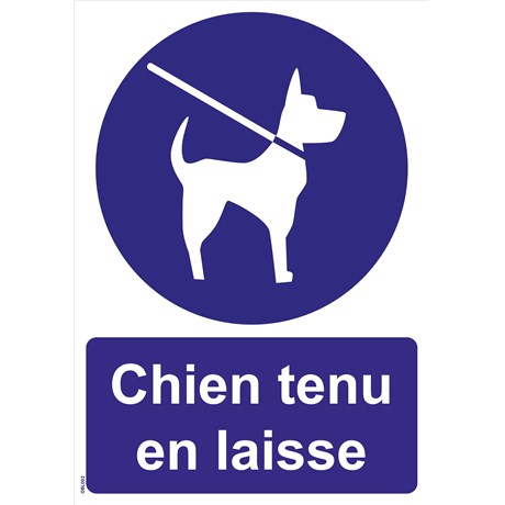 Panneaux "Chien tenu en laisse" - PVC A4