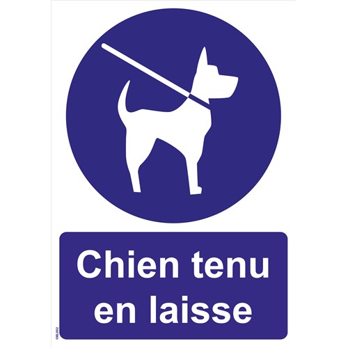 Panneaux "Chien tenu en laisse" - PVC A5