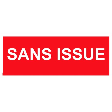 Panneau "Sans issue" PVC - 200x80 mm